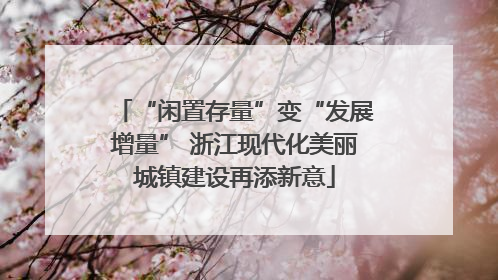“闲置存量”变“发展增量” 浙江现代化美丽城镇建设再添新意