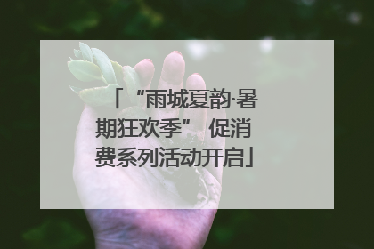 “雨城夏韵·暑期狂欢季” 促消费系列活动开启