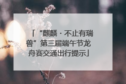 “麒麟・不止有瑞兽”第三届端午节龙舟赛交通出行提示