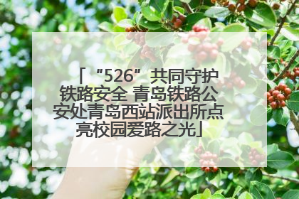 “526”共同守护铁路安全 青岛铁路公安处青岛西站派出所点亮校园爱路之光