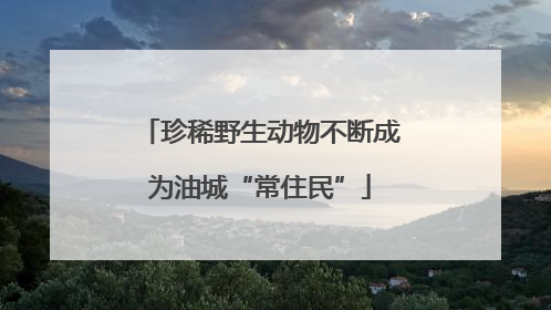 珍稀野生动物不断成为油城“常住民”