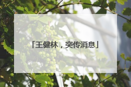 王健林，突传消息