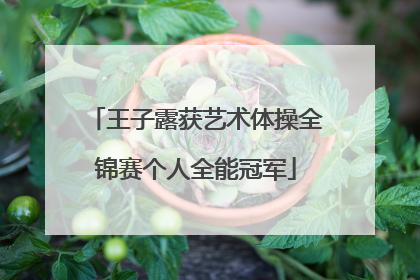 王子露获艺术体操全锦赛个人全能冠军