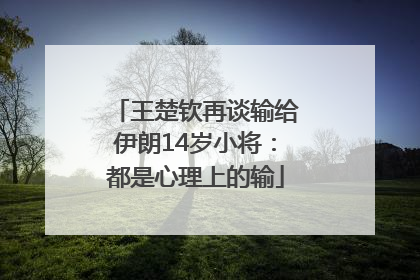 王楚钦再谈输给伊朗14岁小将：都是心理上的输