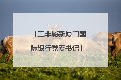 王非履新厦门国际银行党委书记