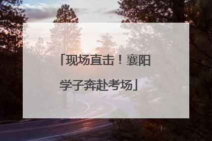 现场直击！襄阳学子奔赴考场