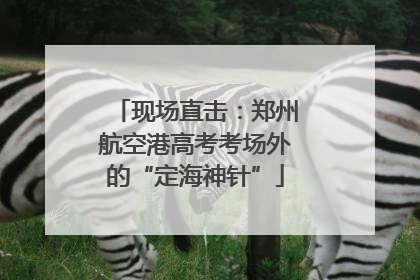 现场直击：郑州航空港高考考场外的“定海神针”