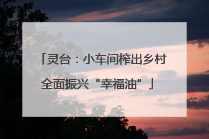 灵台：小车间榨出乡村全面振兴“幸福油”