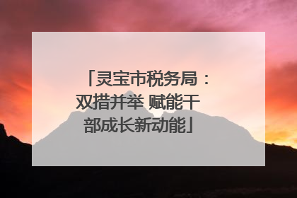 灵宝市税务局：双措并举 赋能干部成长新动能