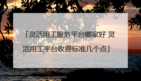 灵活用工服务平台哪家好 灵活用工平台收费标准几个点