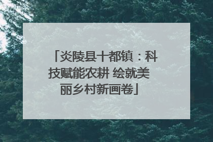 炎陵县十都镇：科技赋能农耕 绘就美丽乡村新画卷