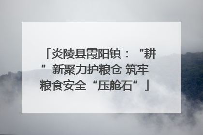 炎陵县霞阳镇：“耕”新聚力护粮仓 筑牢粮食安全“压舱石”