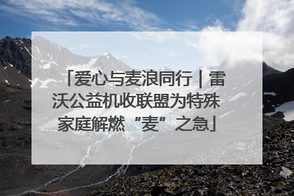 爱心与麦浪同行｜雷沃公益机收联盟为特殊家庭解燃“麦”之急
