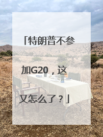 特朗普不参加G20，这又怎么了？