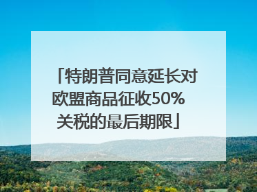 特朗普同意延长对欧盟商品征收50%关税的最后期限