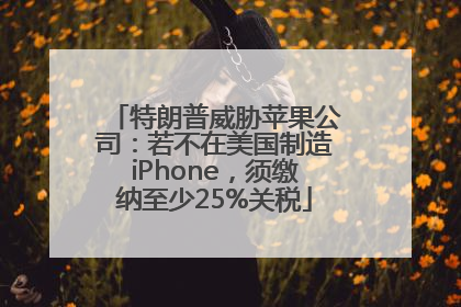 特朗普威胁苹果公司：若不在美国制造iPhone，须缴纳至少25%关税