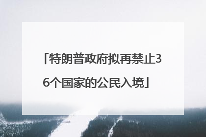 特朗普政府拟再禁止36个国家的公民入境