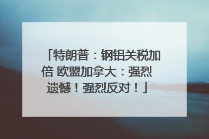 特朗普：钢铝关税加倍 欧盟加拿大：强烈遗憾！强烈反对！