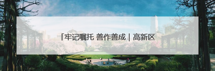 牢记嘱托 善作善成｜高新区华苑片区擦亮科创“金名片”