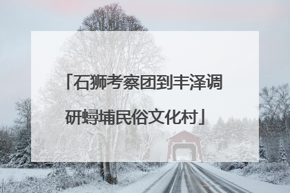 石狮考察团到丰泽调研蟳埔民俗文化村