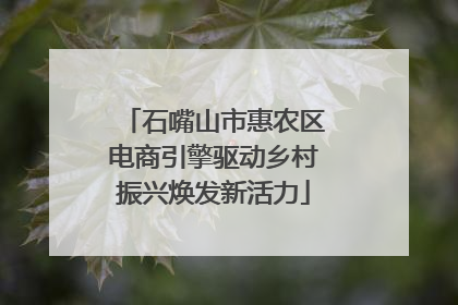 石嘴山市惠农区电商引擎驱动乡村振兴焕发新活力