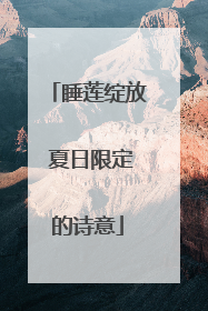 睡莲绽放 夏日限定的诗意