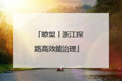 瞭望丨浙江探路高效能治理