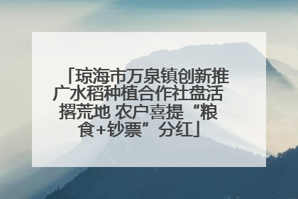 琼海市万泉镇创新推广水稻种植合作社盘活撂荒地 农户喜提“粮食+钞票”分红
