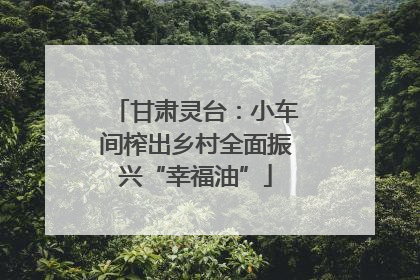 甘肃灵台：小车间榨出乡村全面振兴“幸福油”