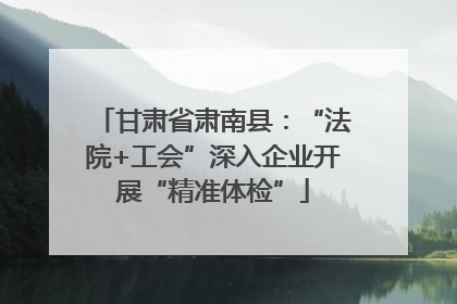 甘肃省肃南县：“法院+工会”深入企业开展“精准体检”