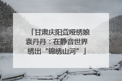 甘肃庆阳聋哑绣娘袁丹丹：在静音世界绣出“锦绣山河”