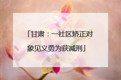 甘肃：一社区矫正对象见义勇为获减刑