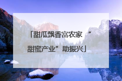 甜瓜飘香富农家 “甜蜜产业”助振兴