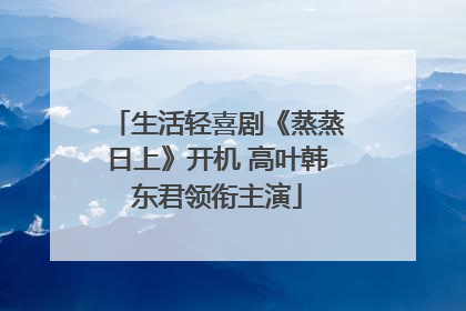 生活轻喜剧《蒸蒸日上》开机 高叶韩东君领衔主演