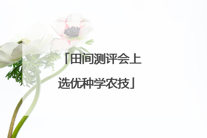 田间测评会上选优种学农技