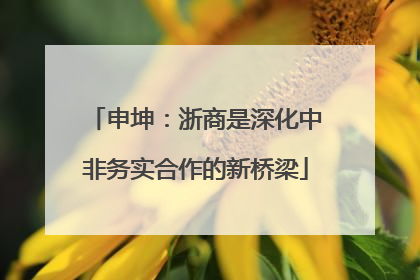 申坤：浙商是深化中非务实合作的新桥梁