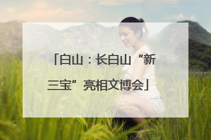 白山：长白山“新三宝”亮相文博会