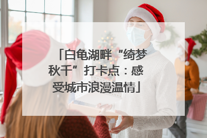 白龟湖畔“绮梦秋千”打卡点：感受城市浪漫温情