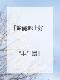 盐碱地上好“丰”景