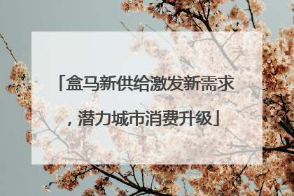 盒马新供给激发新需求，潜力城市消费升级