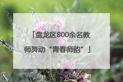 盘龙区800余名教师舞动“青春师韵”