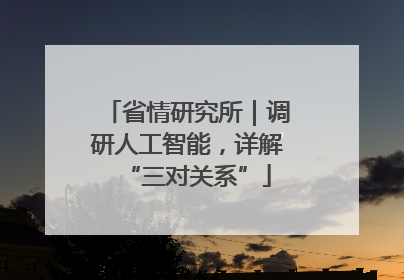 省情研究所｜调研人工智能，详解“三对关系”