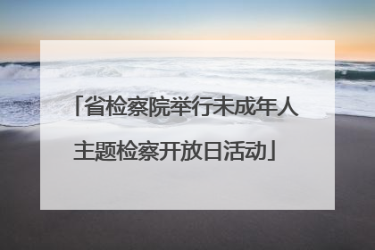 省检察院举行未成年人主题检察开放日活动