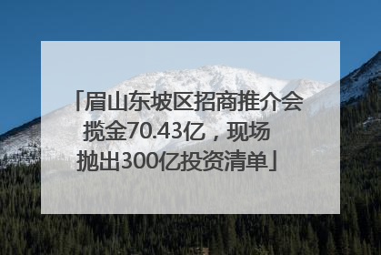 眉山东坡区招商推介会揽金70.43亿，现场抛出300亿投资清单