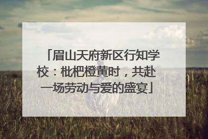 眉山天府新区行知学校：枇杷橙黄时，共赴一场劳动与爱的盛宴