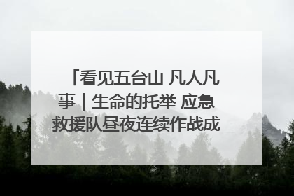 看见五台山 凡人凡事｜生命的托举 应急救援队昼夜连续作战成功救出两批被困游客