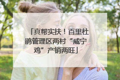 真帮实扶！百里杜鹃管理区两村“威宁鸡”产销两旺