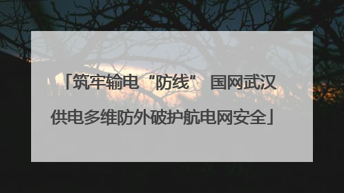 筑牢输电“防线” 国网武汉供电多维防外破护航电网安全