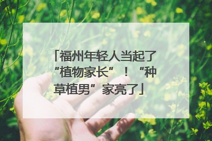 福州年轻人当起了“植物家长”！“种草植男”家亮了