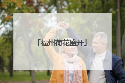 福州荷花盛开